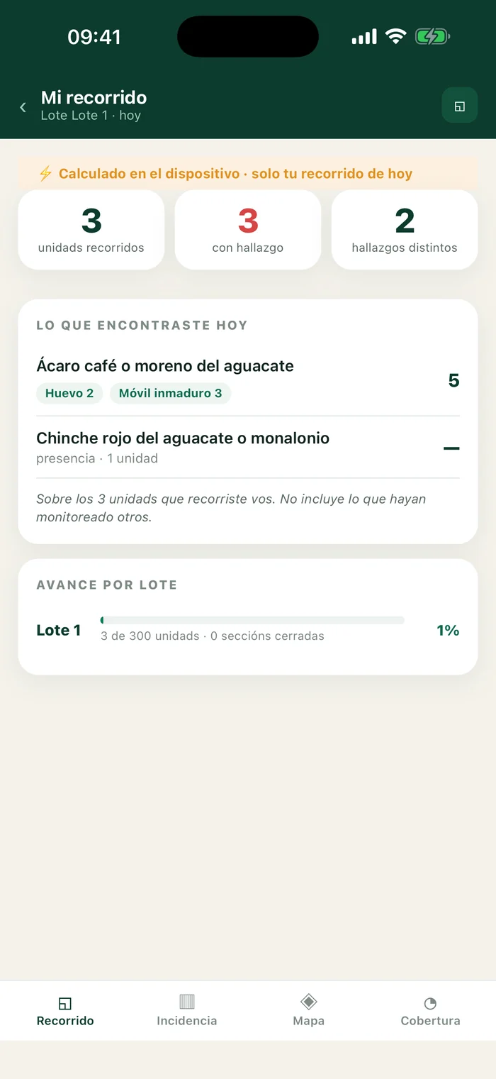 IPM: today's scouting round, with findings and progress by block